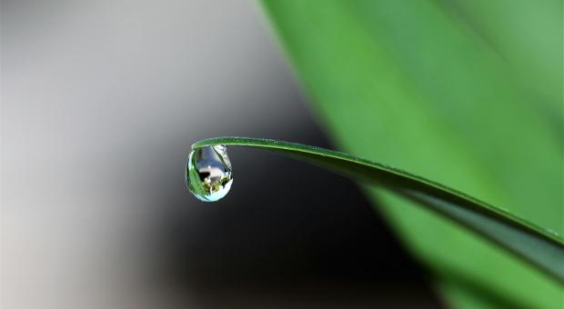 Masterclass fotografie - Macrofotografie & herfstwandeling