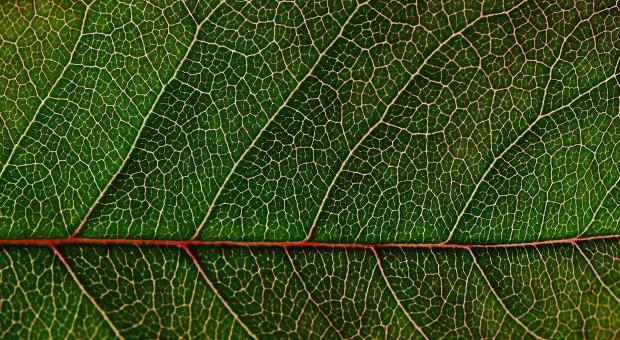 Masterclass fotografie - Mindfulness fotografie