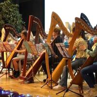 26e Regionaal Harpweekend