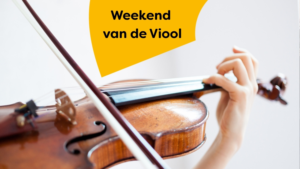 Weekend van de Viool